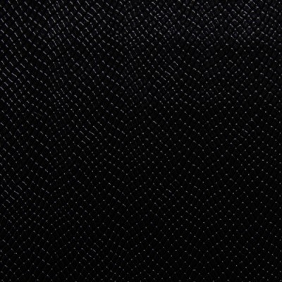 REPTILIAN - Onyx